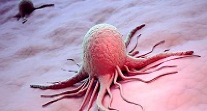 Названы вызывающие рак продукты