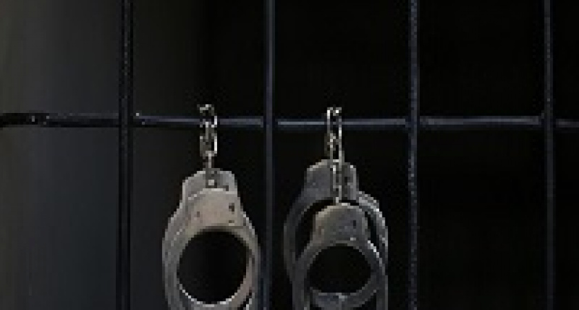 В Волгограде задержан серийный грабитель сотовых телефонов