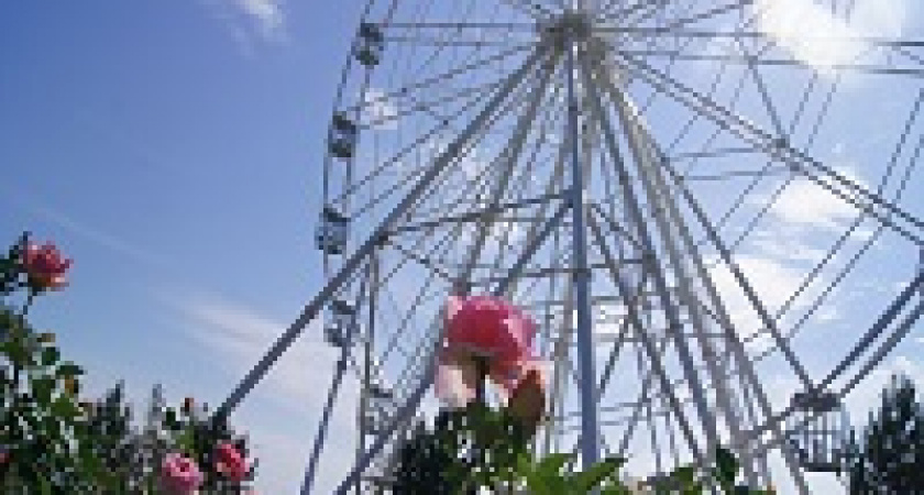 В ЦПКиО появятся навесы с качелями