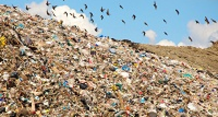 В Волгограде придумают, что делать со свалками