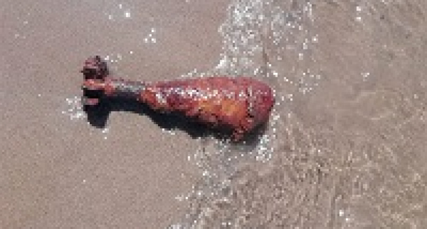 В Волгограде саперы уничтожили мину времен Великой отечественной войны