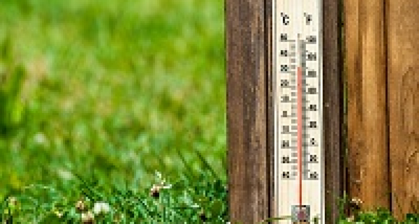 В Волгограде к концу рабочей недели спадет жара