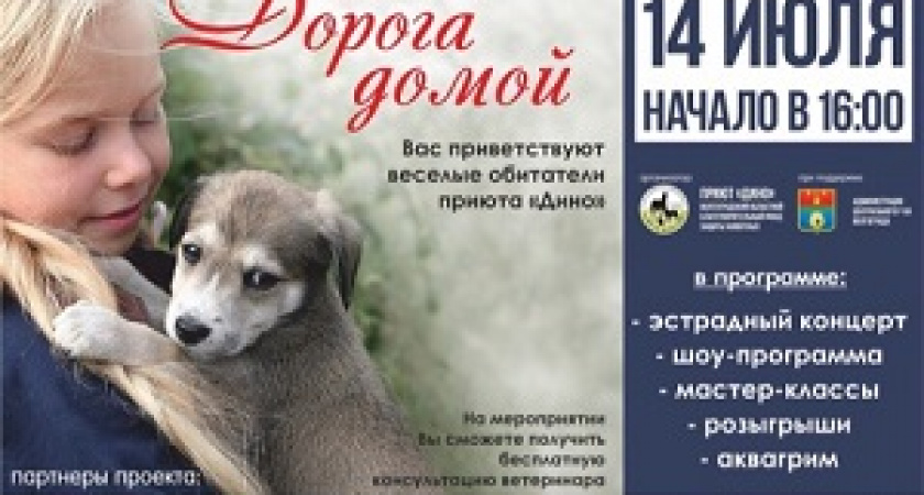 В Волгограде пройдет ярмарка животных «Дорога домой»