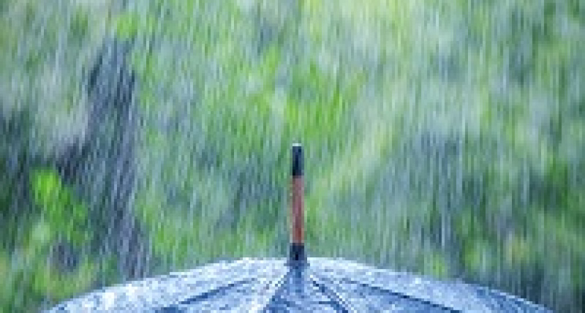 Волгоградцев предупредили о дожде и граде