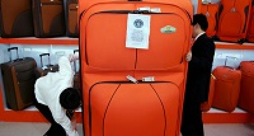 В России ужесточат правила провоза багажа через границу