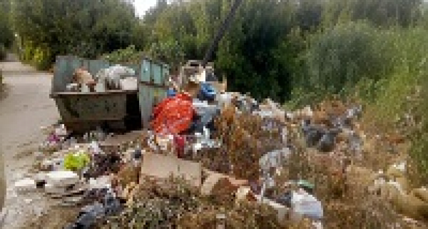 Волгоградцам рассказали, как появляются несанкционированные свалки