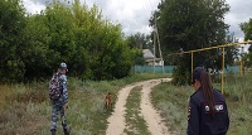 СК возбудил уголовное дело по статье «Убийство» из-за пропавшей в Михайловке девочки