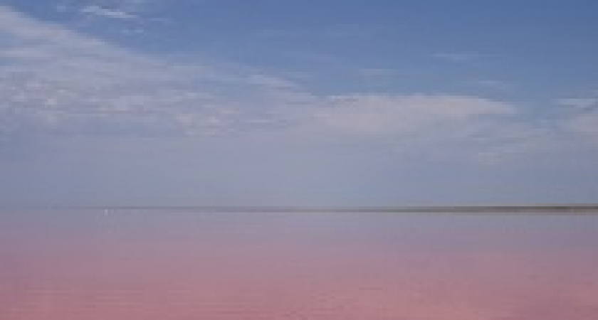 Природный парк «Эльтонский» стал вторым бисферным заповедником в Волгоградской области