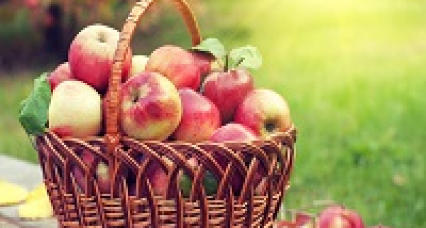 Сегодня – Яблочный Спас