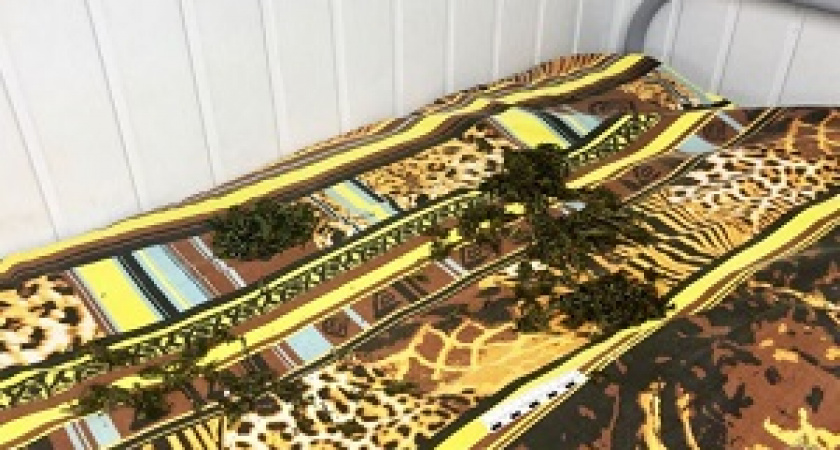 Под Волгоградом у рабочего нашли запас конопли и марихуаны