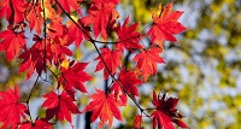 Волгоград завершает подготовку к отопительному сезону