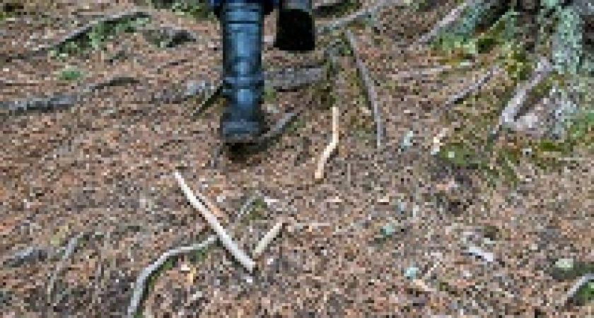 В Калачевском районе нашли пропавшего двухлетнего малыша