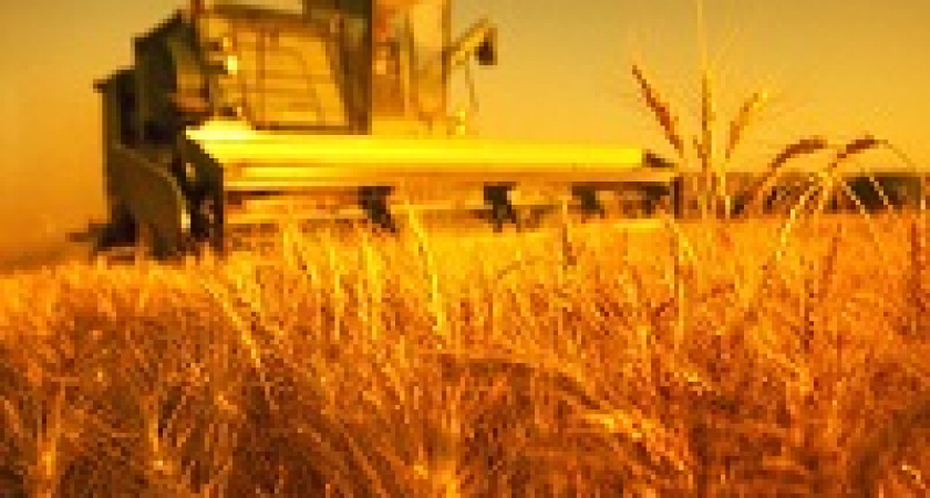 Агропортал – покупай и продавай урожай быстро и выгодно!