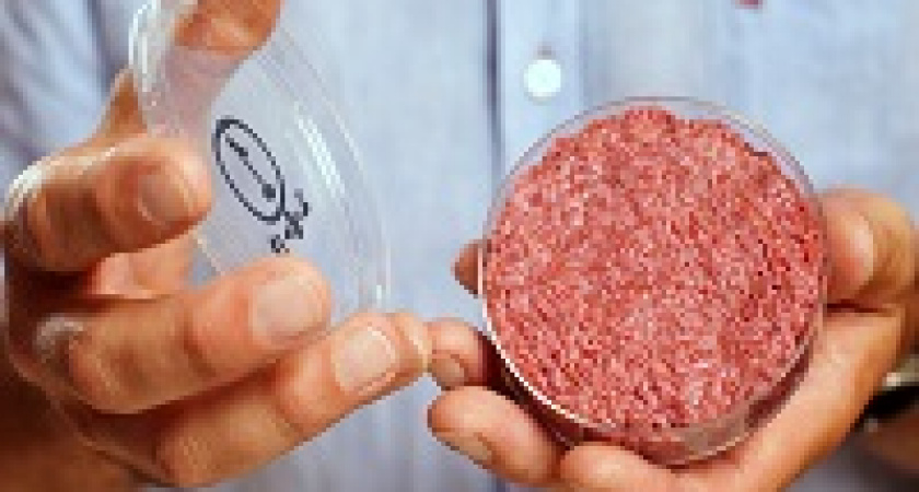 В России создали искусственное мясо