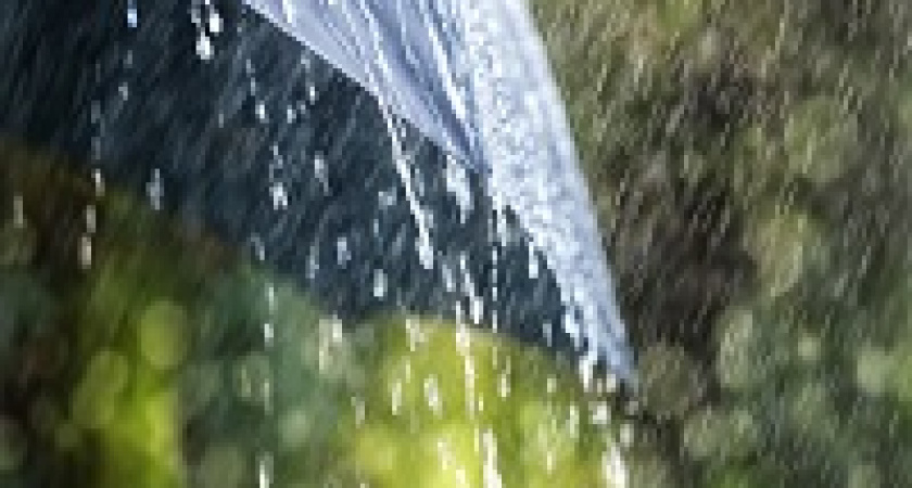 Солнечное утро в Волгограде может смениться вечерним дождем