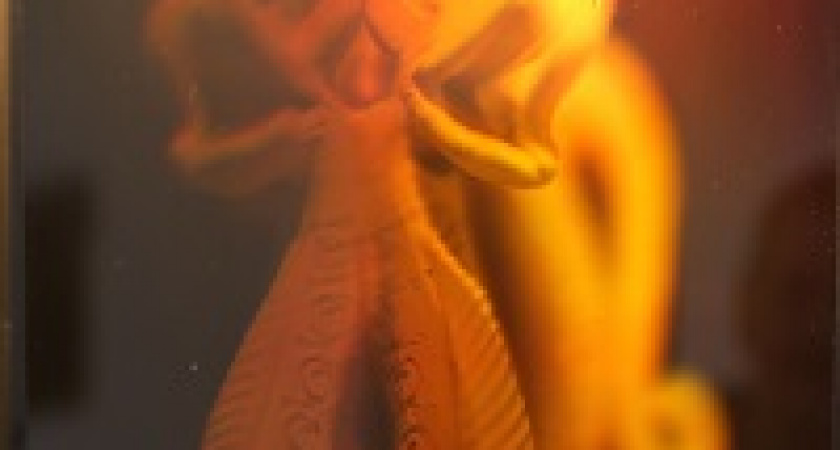 В Волгограде покажут лазерные картины