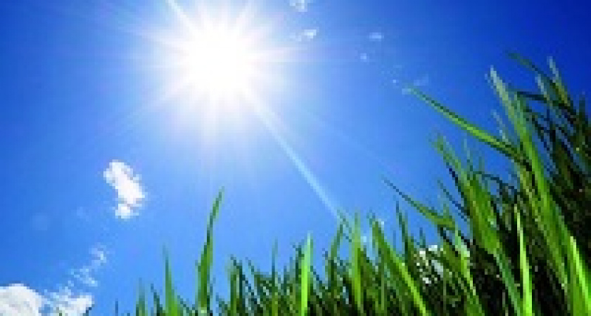 Погода в Волгограде: в выходные тепло и солнечно