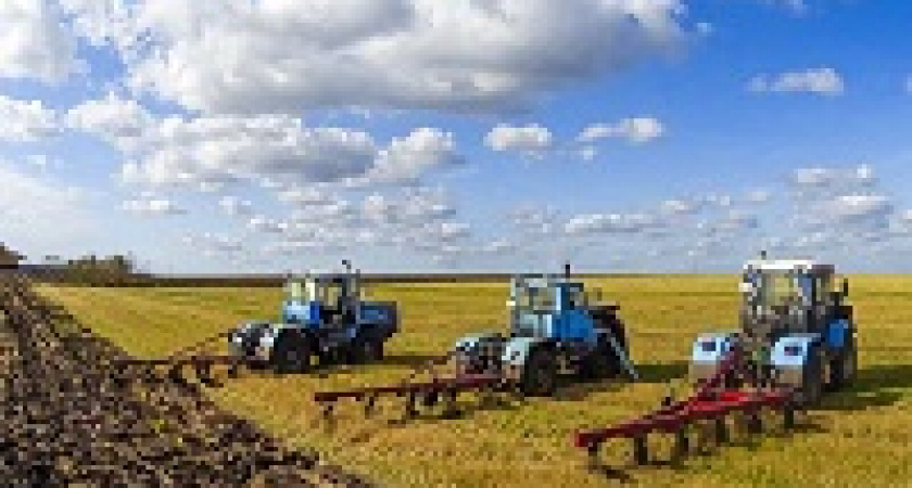 В Волгоградской области завершается посевная кампания