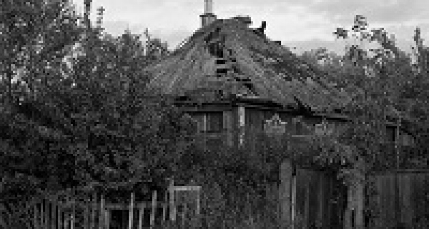 В волгоградском музее Машкова «встретятся» два культурных проекта