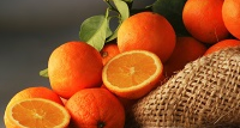 Волгоградская «Горьковка» объявила конкурс добрых фотоисторий 