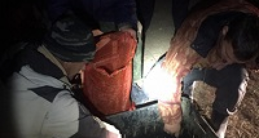 В Волгоградской области браконьеры наловили 4 тысячи раков