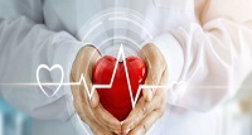 В Волгограде появится новый региональный сосудистый центр