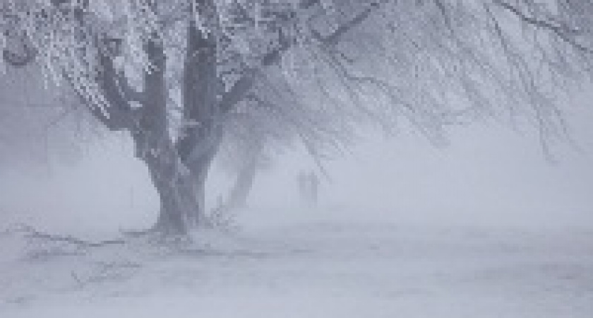 Волгоградцев предупредили о возможной метели