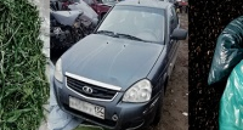 У жителя Урюпинска в машине нашли полкило марихуаны