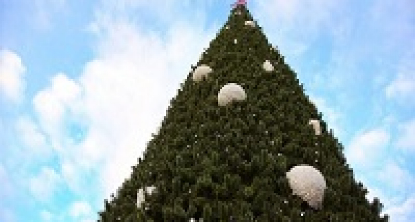 Завтра в Волгограде стартуют новогодние мероприятия