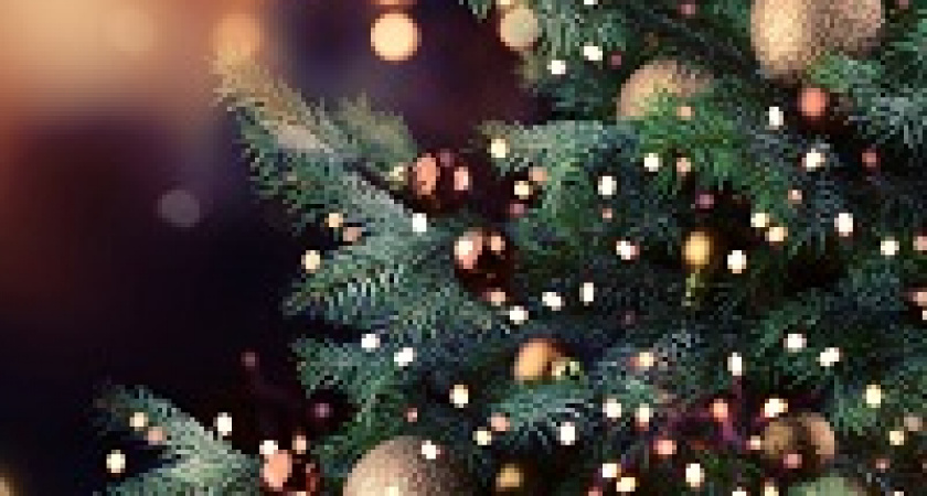 В Волгограде назвали лучшие новогодние инсталляции 