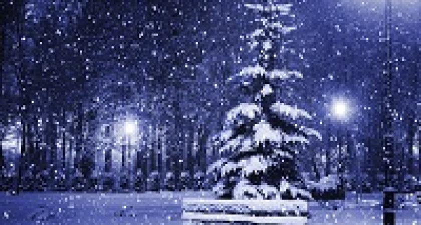 Волгоградцам пообещали на Рождество снегопад