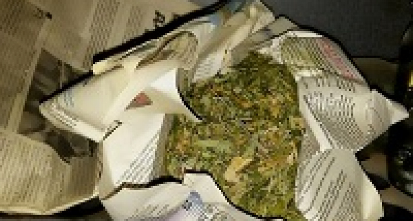 Житель Волгоградской области попался на сборе конопли