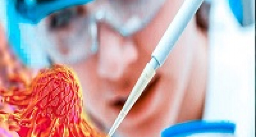 В Волгограде работает «Онкопатруль»