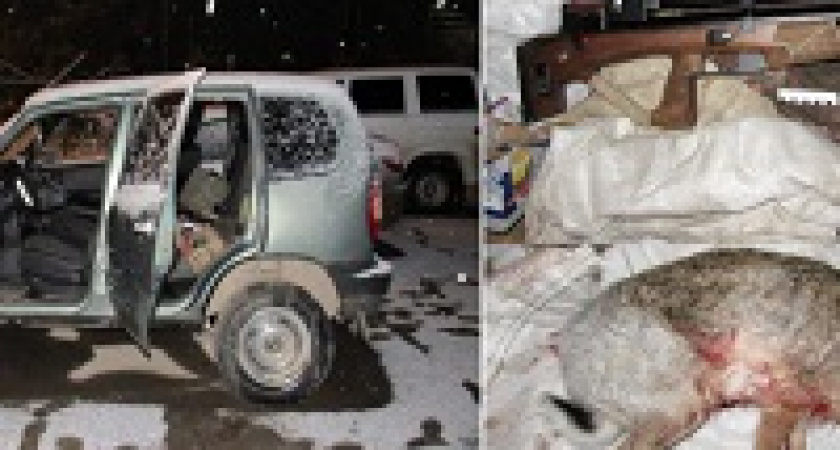 Под Волгоградом браконьеры убили зайца через оптический прицел