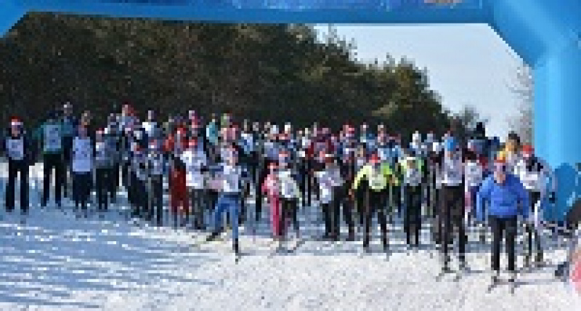 В Волгоградской области пройдут соревнования «Лыжня России»