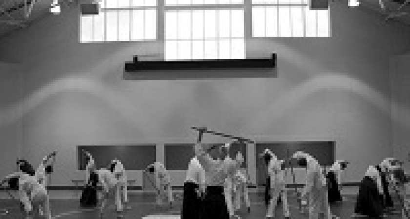 Волгоградцев приглашают на мастер-классы по айкидо и оригами