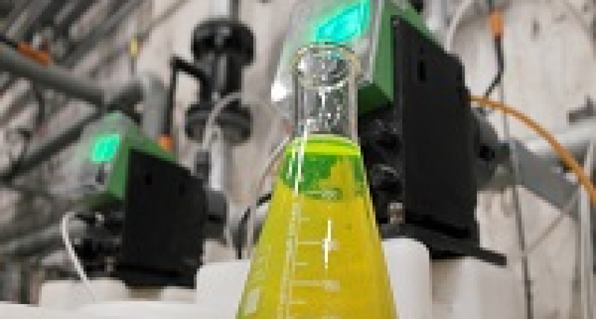 Воду в батареях волгоградцев подкрасят зелёным цветом