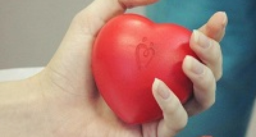 Волгоградские студотряды приняли участие в донорской акции