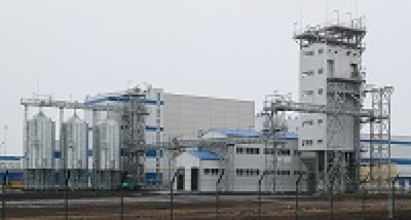 Под Волгоградом построен кукурузный завод