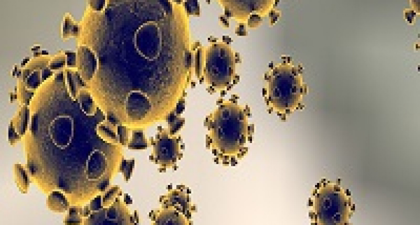 Коронавирус стал самым затратным из всех эпидемий XXI века