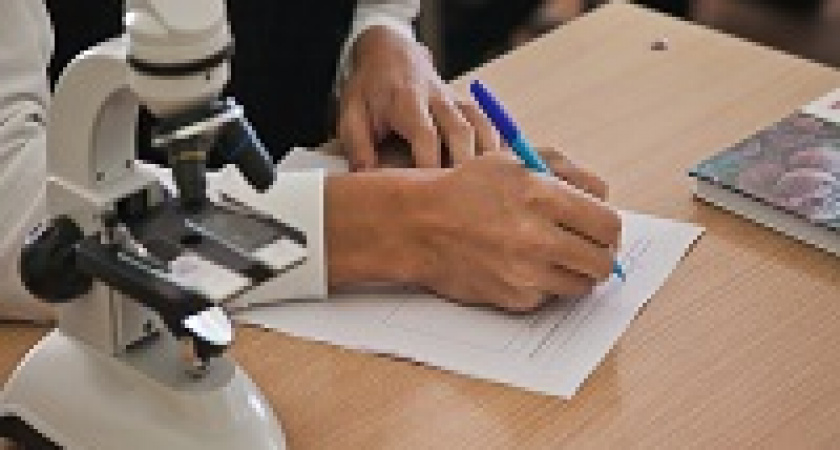 Волгоградские школьники пишут Всероссийские проверочные работы