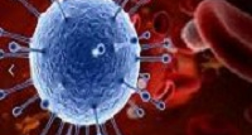 Роспотребнадзор рассказал, что делать на домашнем карантине