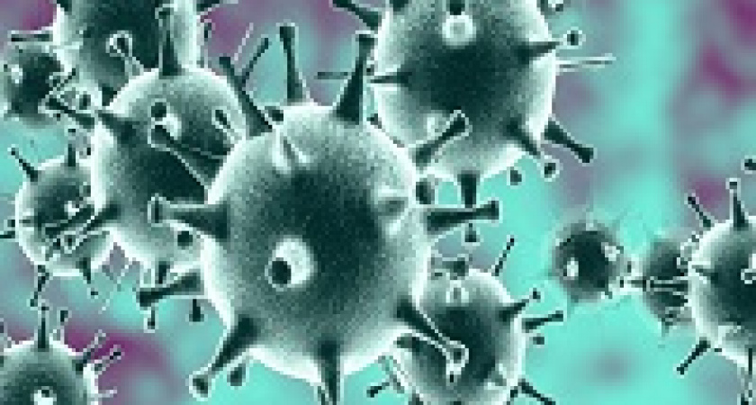 Коронавирус боится весны и лета?