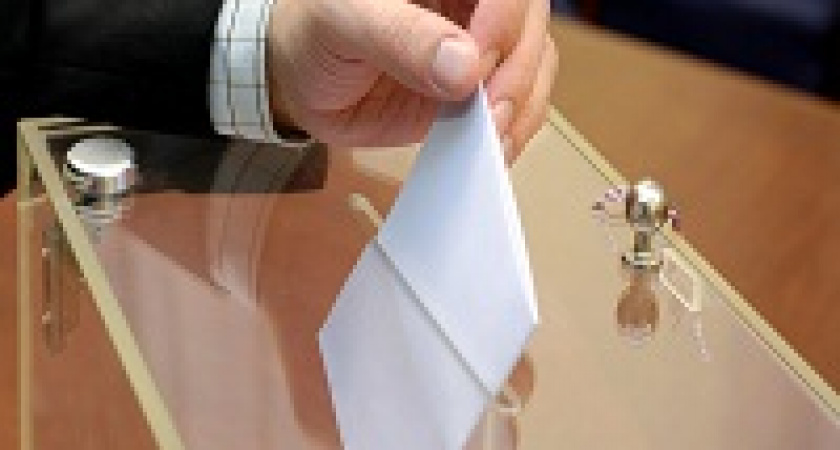 Голосование по Конституции могут перенести 