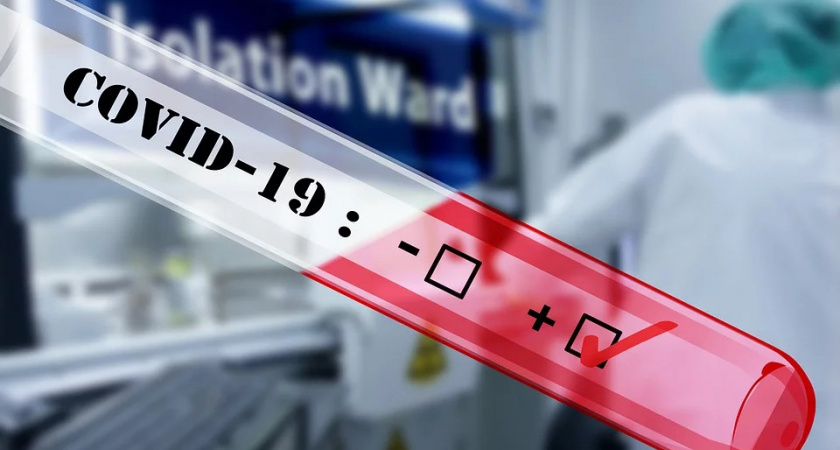 Волгоградцев призывают не ходить в общественные места