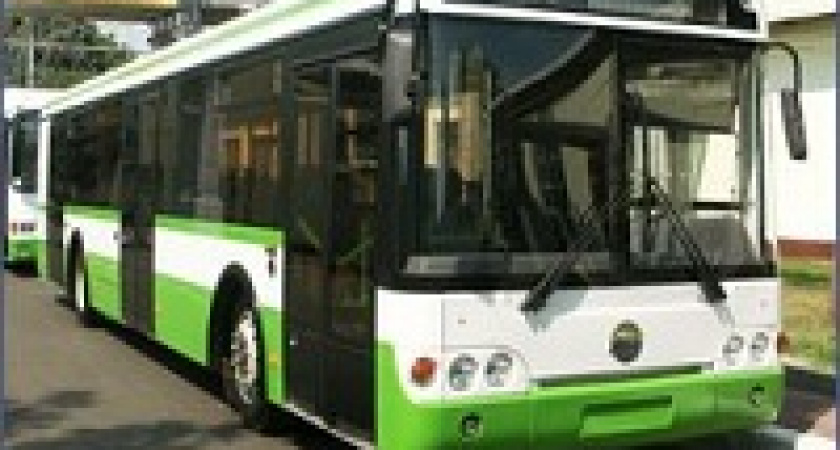 В Волгограде запускают ещё 7 спецмаршрутов