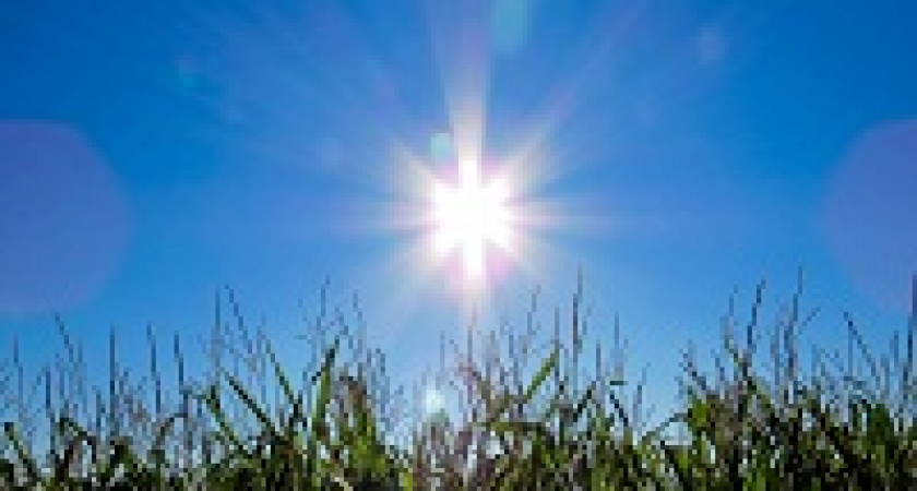 В Волгоград возвращается тепло