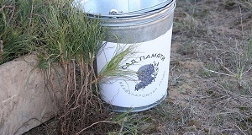 В Волгоградской области высаживают «Сад Памяти»