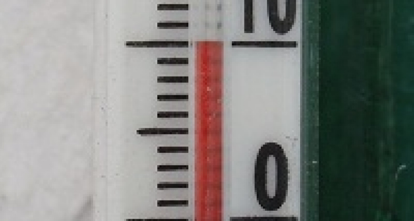 В Волгограде начинается потепление