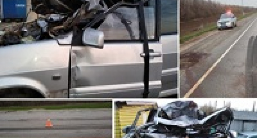 Под Волгоградом водитель на трассе погиб, сбив лошадь